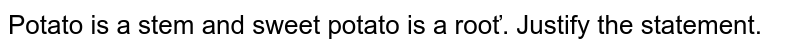 Potato is a stem and sweet potato is a rooť. Justify the statement.