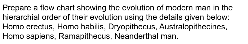 Prepare a flow chart showing the evolution of modern man in the hierarchial order of their evolution using the details given below: Homo erectus, Homo habilis, Dryopithecus, Australopithecines, Homo sapiens, Ramapithecus, Neanderthal man.