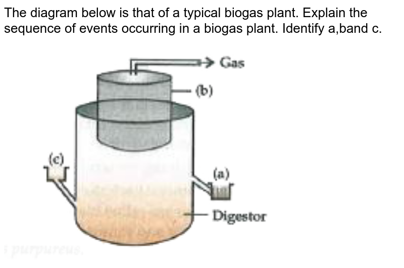 Diagram Of Biogas Plant