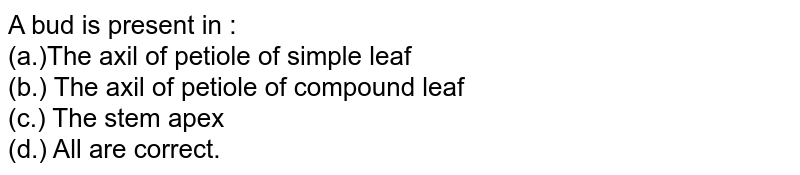 A bud is present in : (a.)The axil of petiole of simple leaf (b.) The axil of petiole of compound leaf (c.) The stem apex (d.) All are correct.