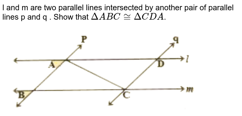 l and m are two parallel lines intersected by another pair of parallel lines p and q . Show that `DeltaABC~= DeltaCDA`. <br> <img src="https://d10lpgp6xz60nq.cloudfront.net/physics_images/NCERT_BEN_MAT_IX_C07_E02_004_Q01.png" width="80%">