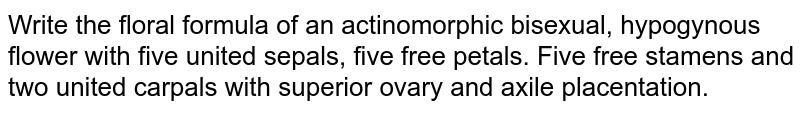 Write the floral formula of an actinomorphic bisexual, hypogynous flower with five united sepals, five free petals. Five free stamens and two united carpals with superior ovary and axile placentation.