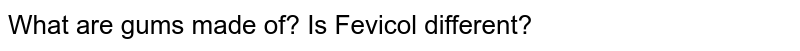 what-are-gums-made-of-is-fevicol-different