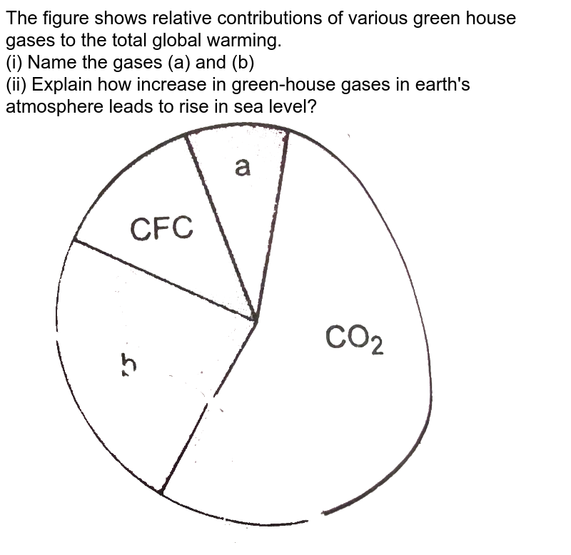 The figure shows relative contributions of various green house gases to the total global warming. (i) Name the gases (a) and (b) (ii) Explain how increase in green-house gases in earth's atmosphere leads to rise in sea level?
