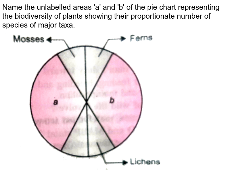 Name the unlabeled areas a & b of the pie chart representing the b