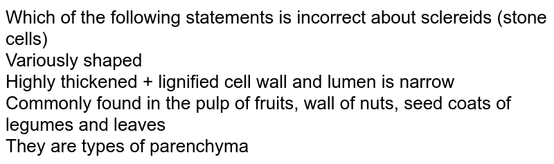 Which of the following statements is incorrect about sclereids (stone cells) Variously shaped Highly thickened + lignified cell wall and lumen is narrow Commonly found in the pulp of fruits, wall of nuts, seed coats of legumes and leaves They are types of parenchyma