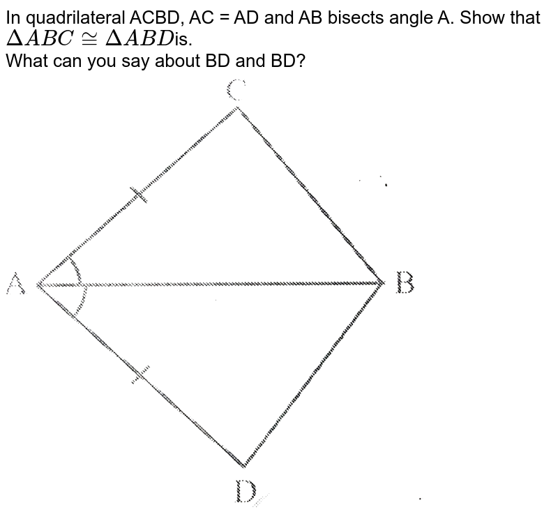 In quadrilateral ACBD AC = AD and AB bisects ∠A See the given fig