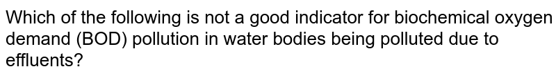 Which of the following is not a good indicator for biochemical oxygen demand (BOD) pollution in water bodies being polluted due to effluents?