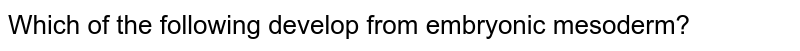 Which of the following develop from embryonic mesoderm?