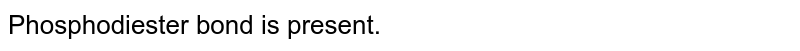 Phosphodiester bond is present.