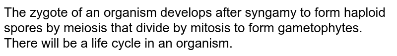The zygote of an organism develops after syngamy to form haploid spores by meiosis that divide by mitosis to form gametophytes. There will be a life cycle in an organism.