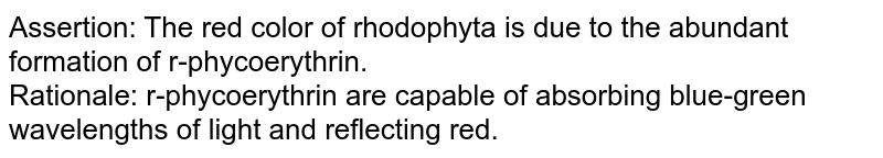Assertion: The red color of rhodophyta is due to the abundant formation of r-phycoerythrin. Rationale: r-phycoerythrin are capable of absorbing blue-green wavelengths of light and reflecting red.