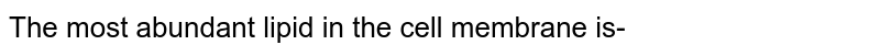The most abundant lipid in the cell membrane is-