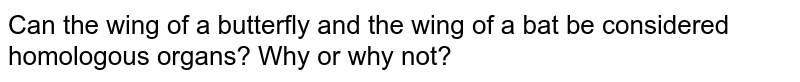 Can the wing of a butterfly and the wing of a bat be considered homologous organs? Why or why not?