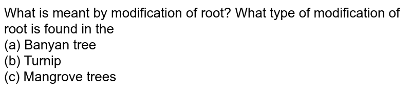What is meant by modification of root? What type of modification of root is found in the (a) Banyan tree (b) Turnip (c) Mangrove trees