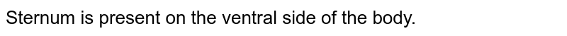 Sternum is present on the ventral side of the body.
