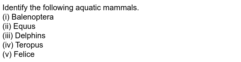 Identify the following aquatic mammals. (i) Balenoptera (ii) Equus (iii) Delphins (iv) Teropus (v) Felice
