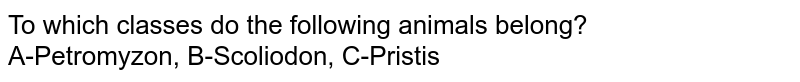 Which classes do the following beings belong to? A-Petromyzon, B-Scoliodon, C-Pristis