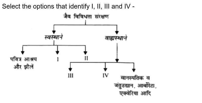 Select the options that identify I, II, III and IV -