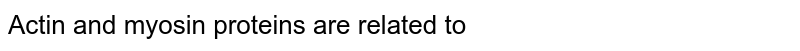 Actin and myosin proteins are related to