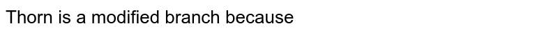 Thorn is a modified branch because