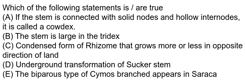Which of the following statements is / are true (A) If the stem is connected with solid nodes and hollow internodes, it is called a cowdex. (B) The stem is large in the tridex (C) Condensed form of Rhizome that grows more or less in opposite direction of land (D) Underground transformation of Sucker stem (E) The biparous type of Cymos branched appears in Saraca