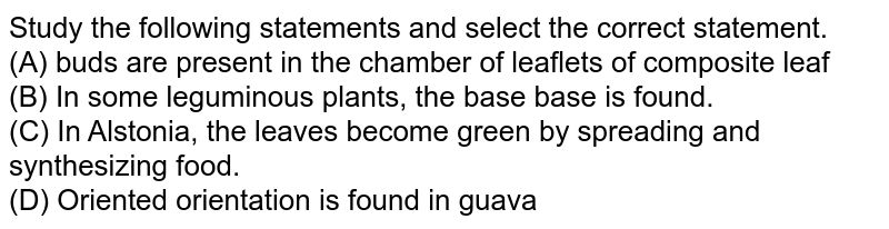Study the following statements and select the correct statement. (A) buds are present in the chamber of leaflets of composite leaf (B) In some leguminous plants, the base base is found. (C) In Alstonia, the leaves become green by spreading and synthesizing food. (D) Oriented orientation is found in guava
