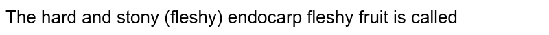 The hard and stony (fleshy) endocarp fleshy fruit is called