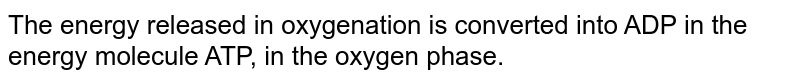 The energy released in oxygenation is converted into ADP in the energy molecule ATP, in the oxygen phase.