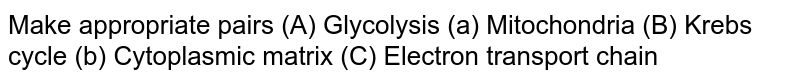 Make appropriate pairs (A) Glycolysis (a) Mitochondria (B) Krebs cycle (b) Cytoplasmic matrix (C) Electron transport chain