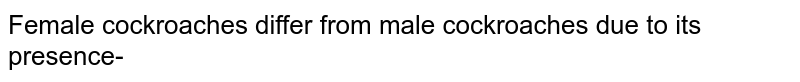 Female cockroaches differ from male cockroaches due to its presence-