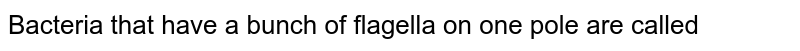 Bacteria that have a bunch of flagella on one pole are called