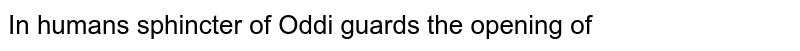 In humans sphincter of Oddi guards the opening of