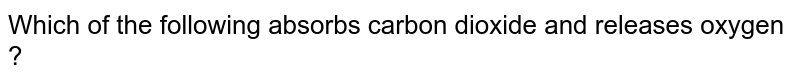 Which of the following absorbs carbon dioxide and releases oxygen ?