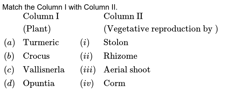 Match the Column I with Column II. {:(,"Column I",,,"Column II"),(,"(Plant)",,,"(Vegetative reproduction by )"),((a),"Turmeric",,(i),"Stolon"),((b),"Crocus",,(ii),"Rhizome"),((c ),"Vallisnerla",,(iii),"Aerial shoot"),((d),"Opuntia",,(iv),"Corm"):}