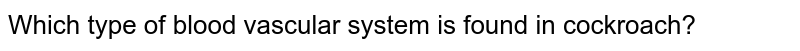 Which type of blood vascular system is found in cockroach?