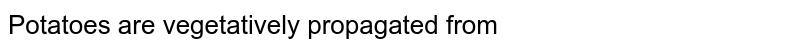 Potatoes are vegetatively propagated from