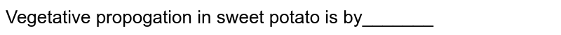 Vegetative propogation in sweet potato is by_______