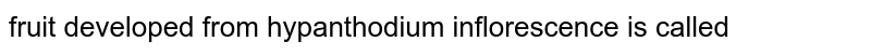 fruit developed from hypanthodium inflorescence is called