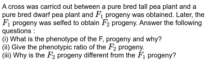 A cross was carricd out between a pure bred tall pea plant and a pure bred dwarf pea plant and `F_(1)` progeny was obtained. Later, the `F_(1)` progeny was selfed to obtain `F_(2)` progeny. Answer the following questions : <br> (i) What is the phenotype of the F, progeny and why? <br> (ii) Give the phenotypic ratio of the `F_(2)` progeny. <br> (iii) Why is the `F_(2)` progeny different from the `F_(1)` progeny?