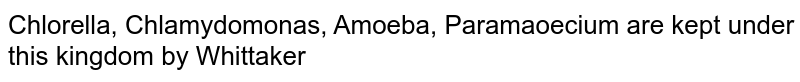 Chlorella, Chlamydomonas, Amoeba, Paramaoecium are kept under this kingdom by Whittaker