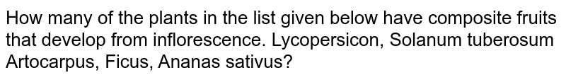 How many of the plants in the list given below have composite fruits that develop from inflorescence. Lycopersicon, Solanum tuberosum Artocarpus, Ficus, Ananas sativus?