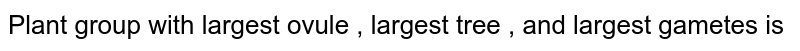 Plant group with largest ovule , largest tree , and largest gametes is