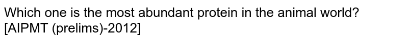 Which one is the most abundant protein in the animal world? [AIPMT (prelims)-2012]