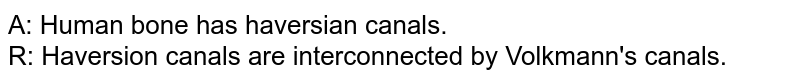 A: Human bone has haversian canals. <br> R: Haversion canals are interconnected by Volkmann's canals.