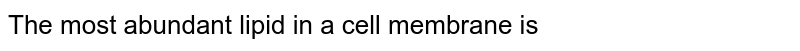 The most abundant lipid in a cell membrane is