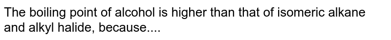 The boiling point of alcohol is higher than that of isomeric alkane and alkyl halide, because....