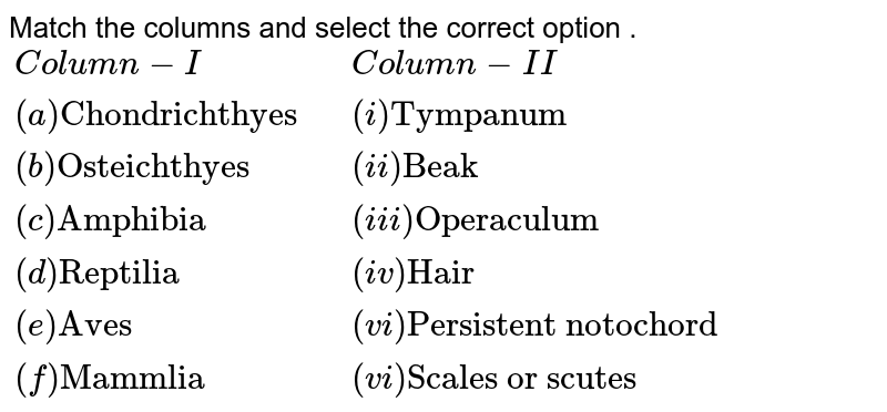 Match the columns and select the correct option . {:(Column-I,Column-II),((a)"Chondrichthyes ",(i)"Tympanum"),((b)"Osteichthyes",(ii)"Beak"),((c)"Amphibia",(iii)"Operaculum"),((d)"Reptilia",(iv)"Hair"),((e)"Aves",(vi)"Persistent notochord"),((f)"Mammlia",(vi)"Scales or scutes"):}