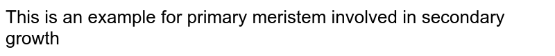 This is an example for primary meristem involved in secondary growth