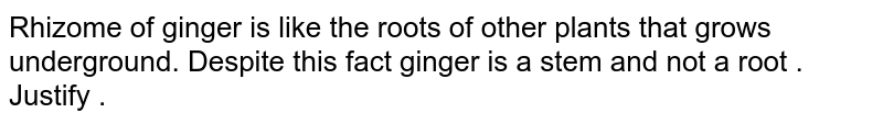 Rhizome of ginger is like the roots of other plants that grows underground. Despite this fact ginger is a stem and not a root . Justify .